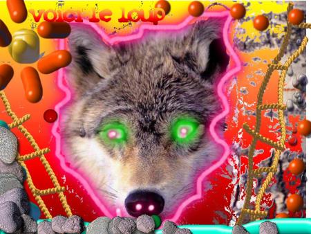 le loup du  petit chaperon  lol